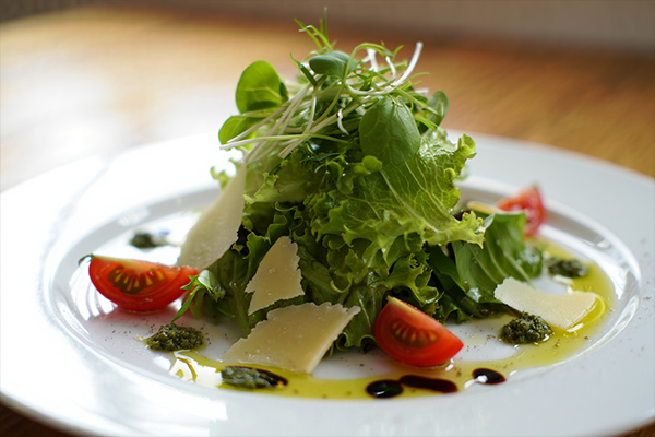 Beautifully plated gourmet dish showcasing quality food content