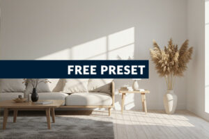 Free Aesthetic Presets Download - a aesthetic image of a Scandinavian living room