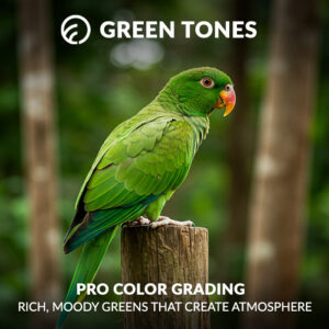 green tone presets for Lightroom, image shows a parrot sitting on a pole
