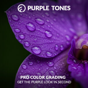 purple tone presets for Lightroom