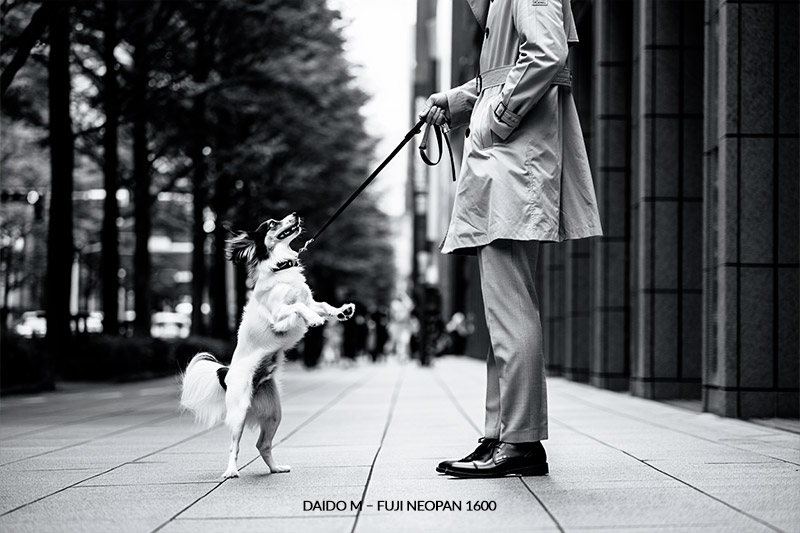 with Daido M – Fuji Neopan 1600 preset - street photograph of a city sidewalk scene shows a person holding a dog on a leash