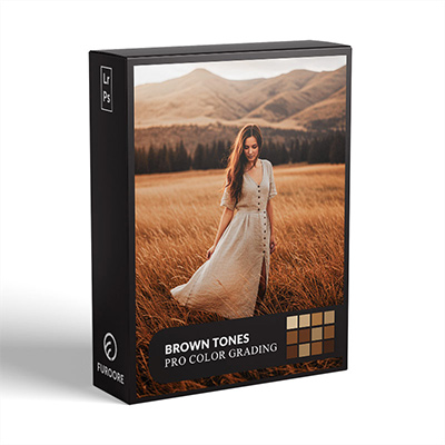 Brown Tone Presets example