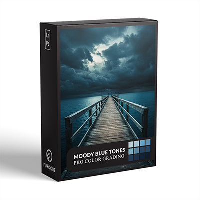 Moody Blue Tone Presets example
